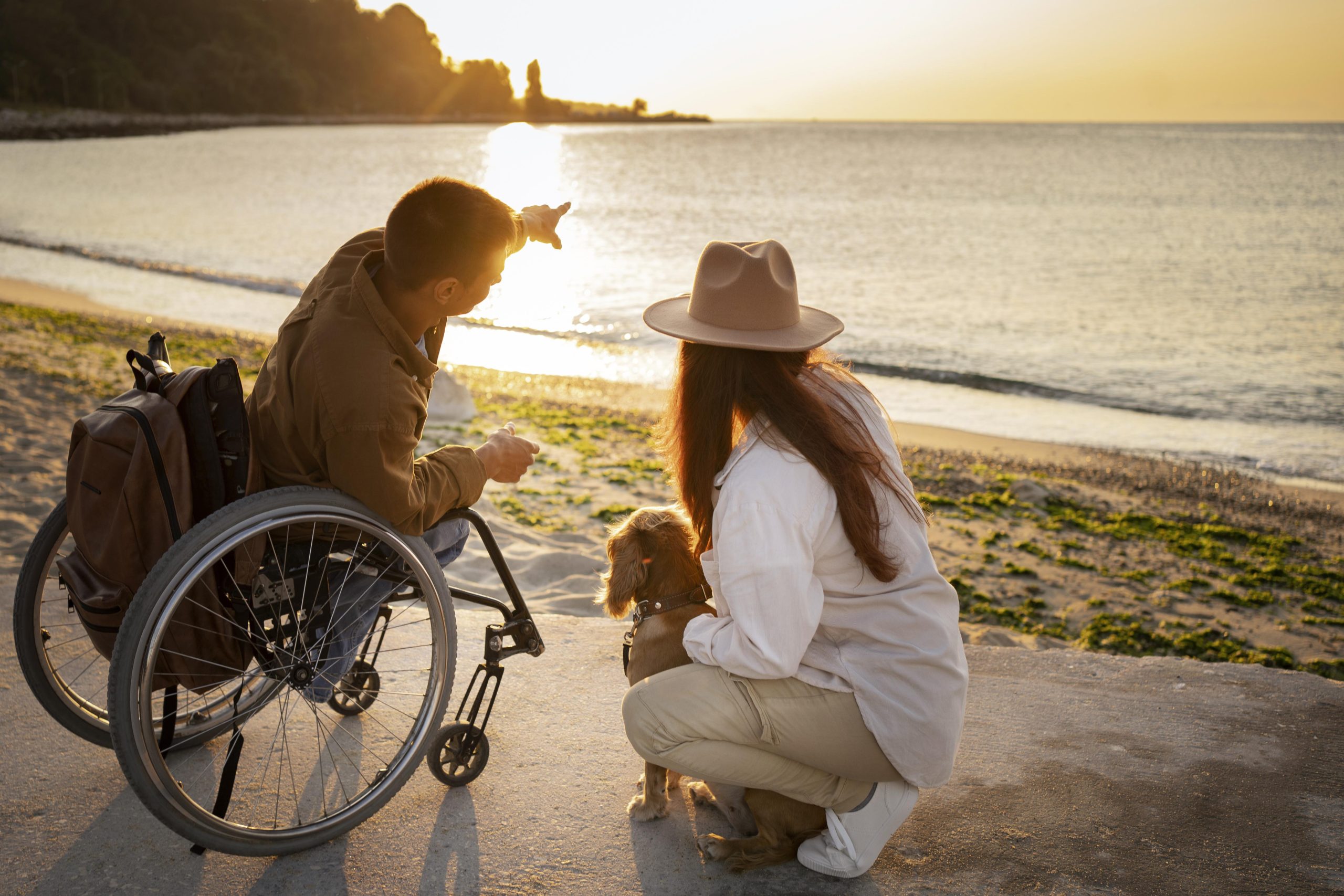 Assist – Travel / Transport